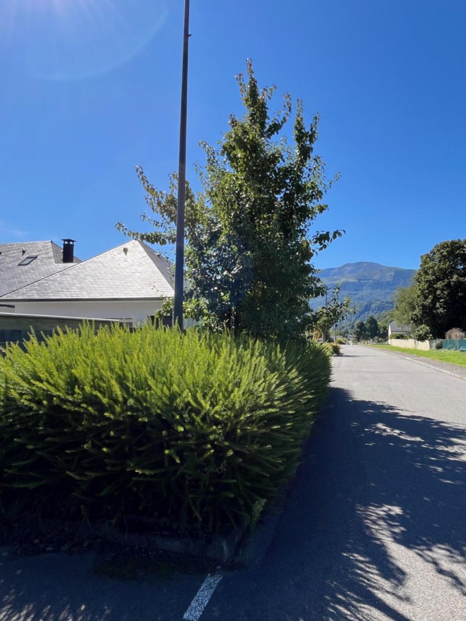 La Maison De Lilette Proche Argeles Gazost Ayzac-Ost Kültér fotó